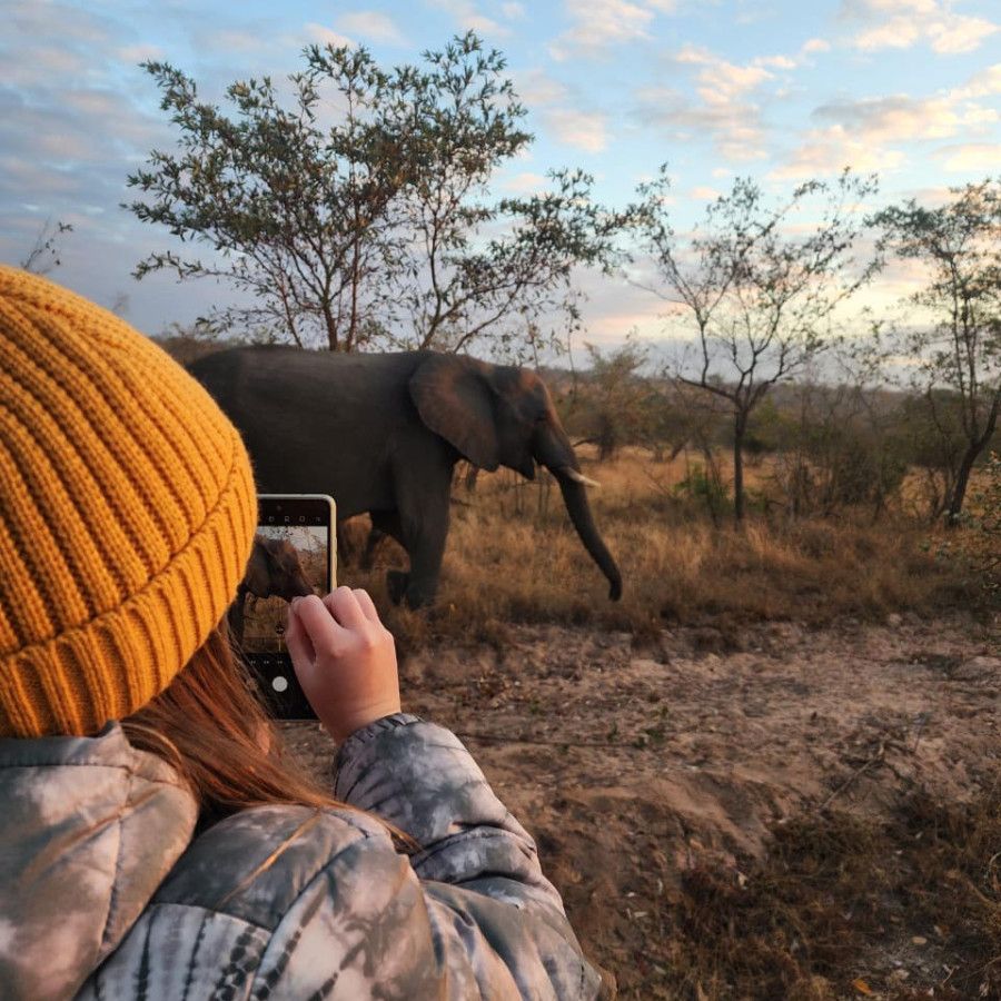 Tailored Activities for All Ages