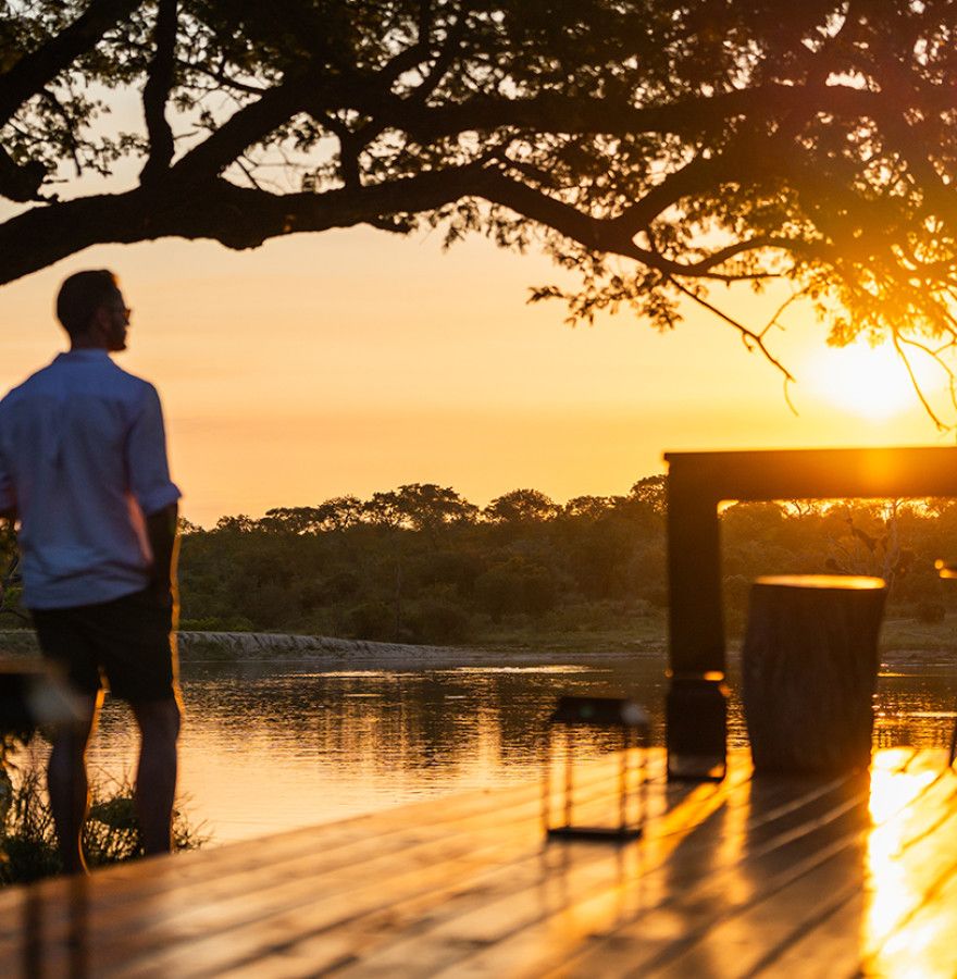 Amazing wildlife sightings