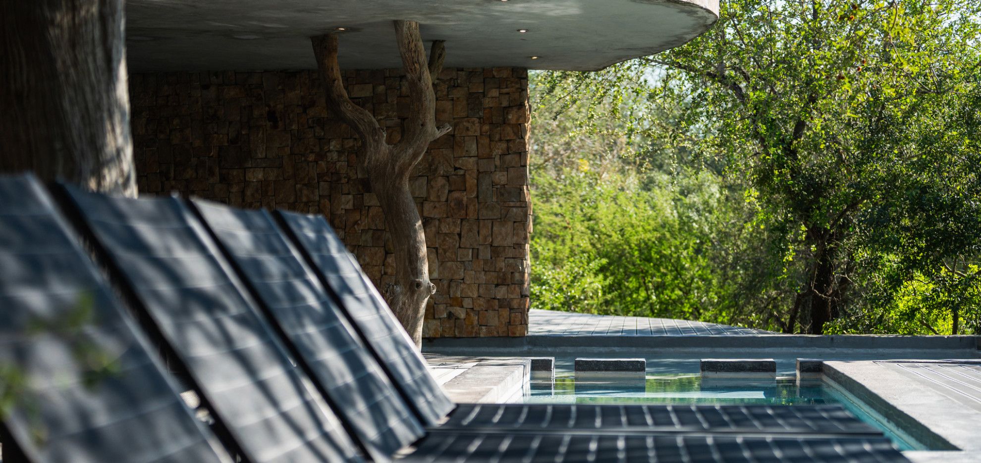 An Oasis of Calm background