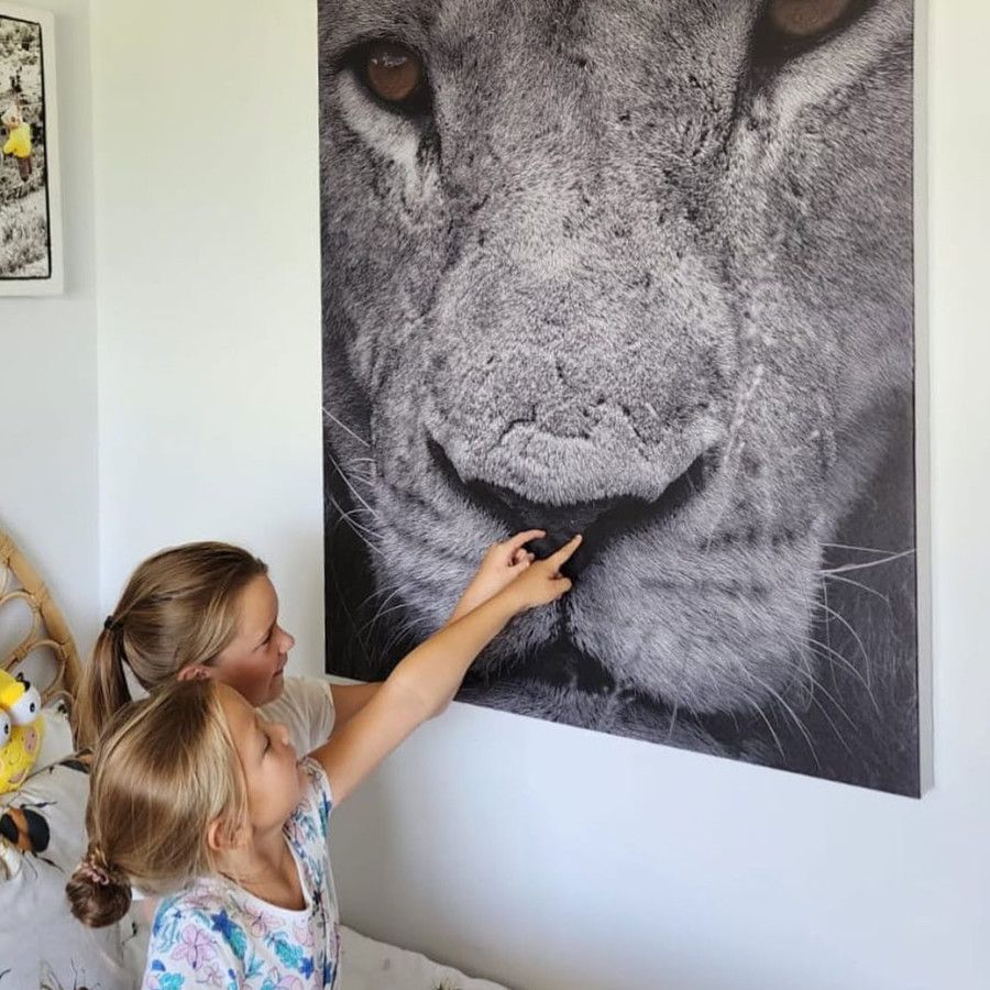 Exclusive Comfort for Families