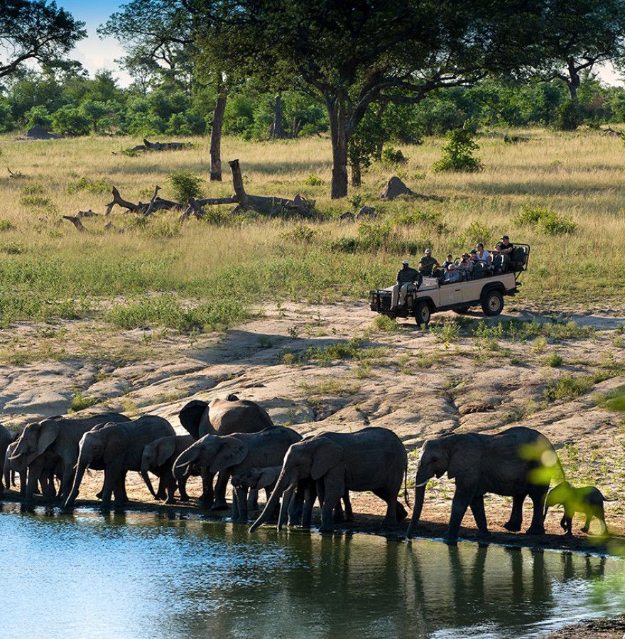 The birthplace of sustainable wildlife tourism