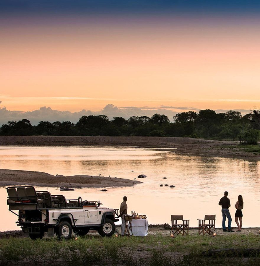 The very best of the African bush